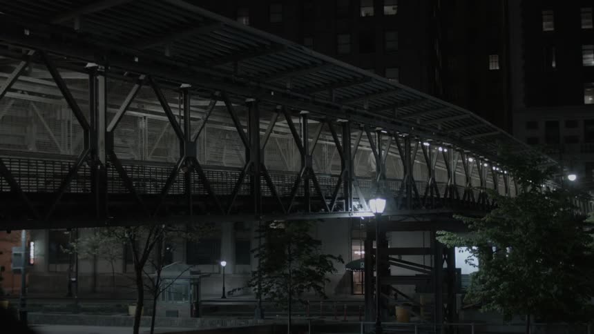 A person is walking his dogs over a bridge