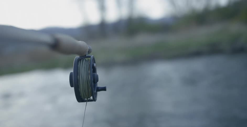 A point of view from a fishing road
