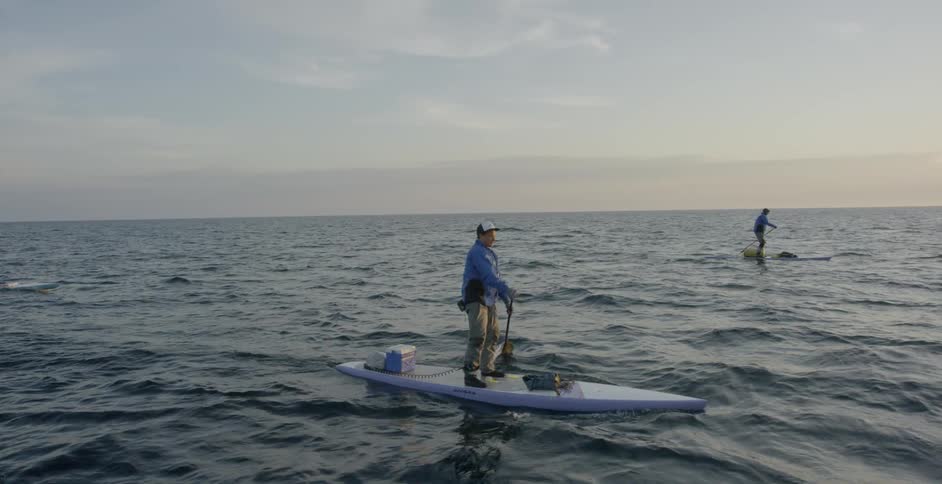 People are rowing on paddle boards in the ocean