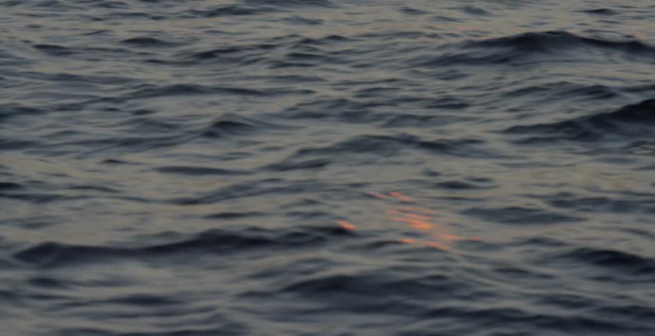 A blue body of water has rolling waves upon it
