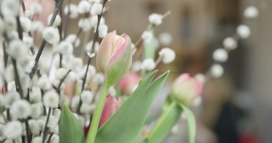 A woman in a white shirt carries a vase full of tulips and willows and then sets it on a surface