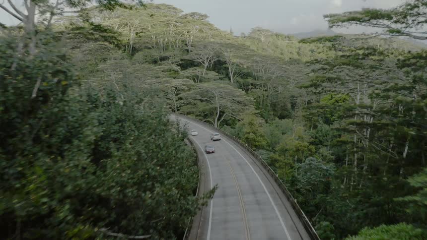 An aerial view of cars driving on a forest road and bridge