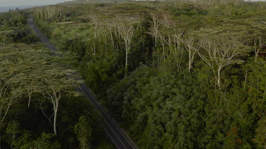 Birds eye view of cars driving down a freeway in the middle of a forest area