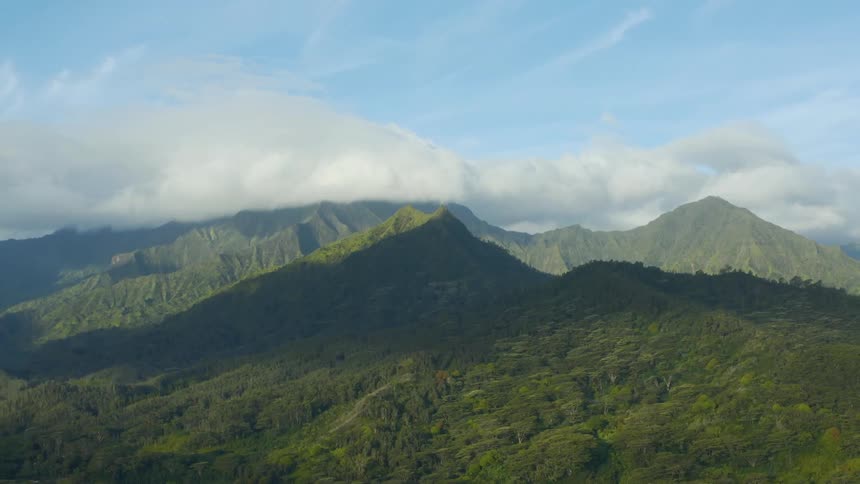 Grass is covering the mountain area