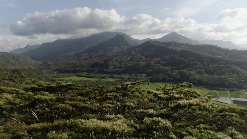 A valley between a forest and mountains covered in trees