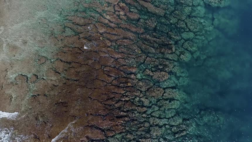 Birds eye view of the water meeting the shoreline