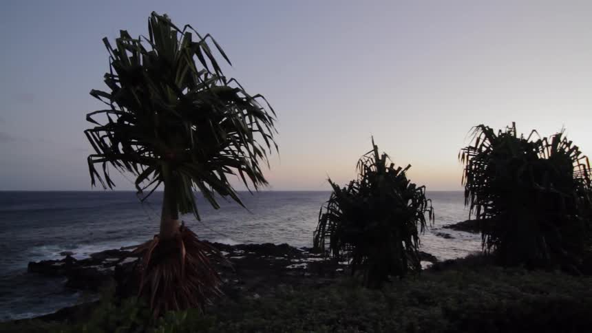 Trees are shown on a shore