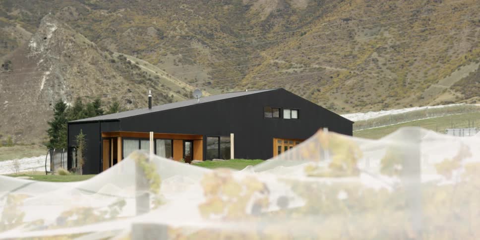New Zealand Winery