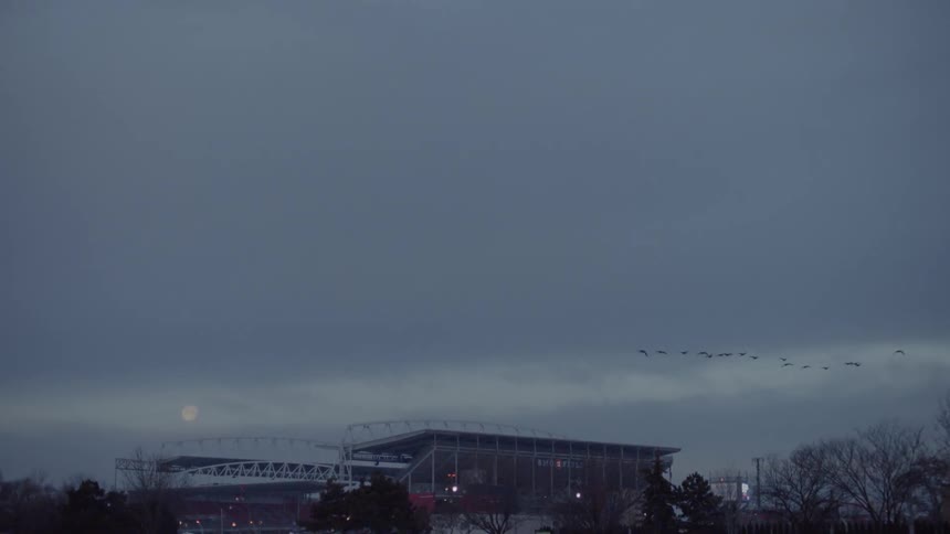 Birds flying over a stadium