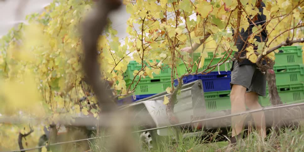 Man stacking crates onto the back of a pickup truck