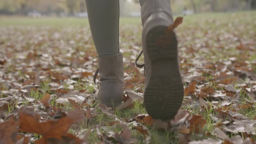 A person is walking through the leaves on the grass