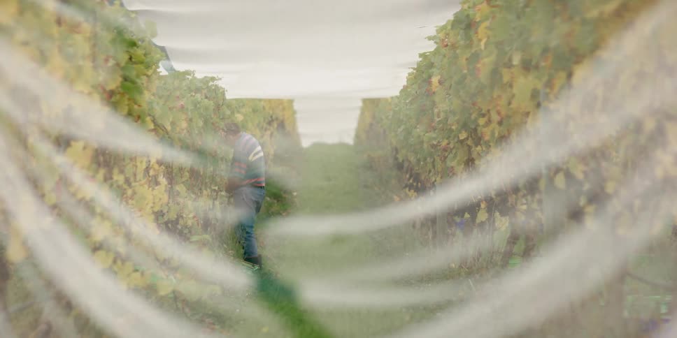 A large field has a man standing on it