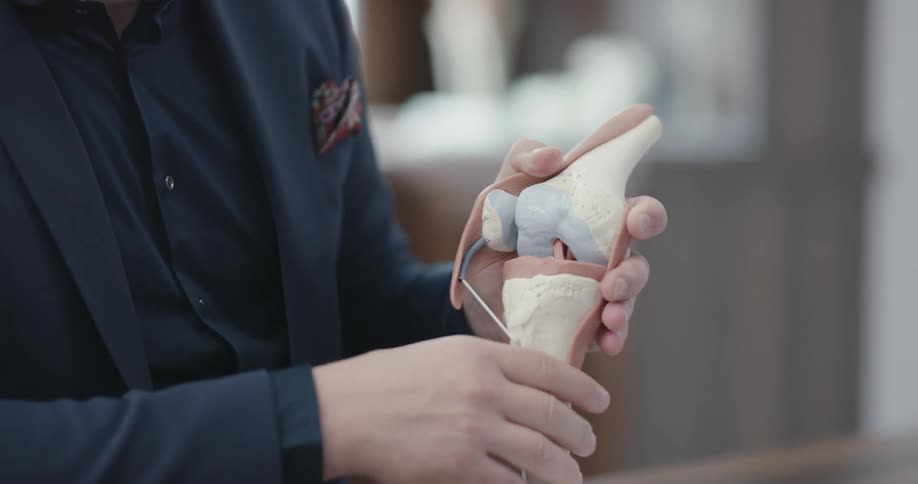A man holds a knee model and demonstrates how it functions