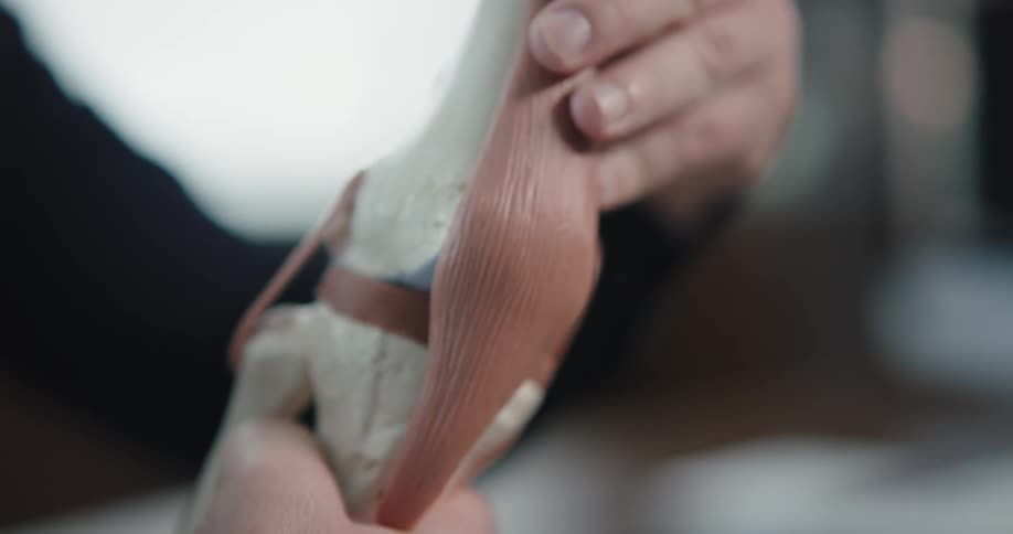 A doctor is showing off a fake joint