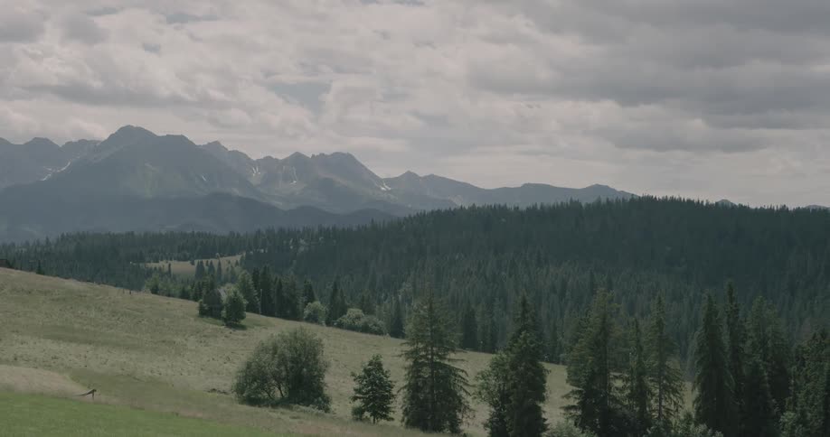 Landscape of the mountains with tree hills on a cloudy day