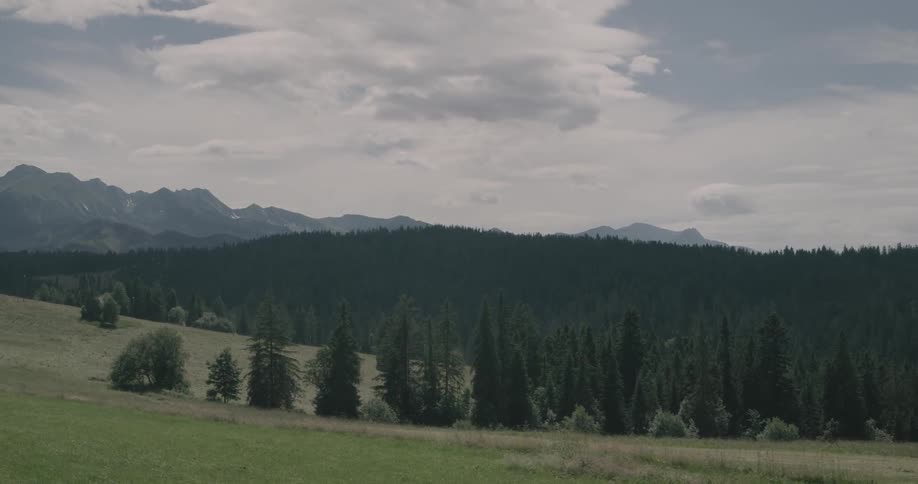 Groups of trees dot a bill in front of a mountain range