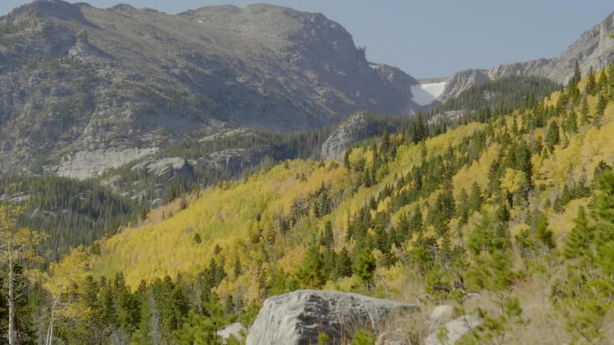 A verdant slope in a mountain range during the day