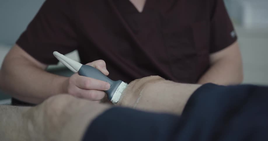 A doctor performs an ultrasound on a patients knee