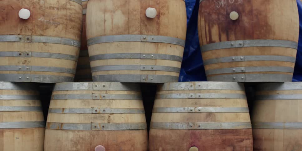 Rows of barrels with corks in them stacked
