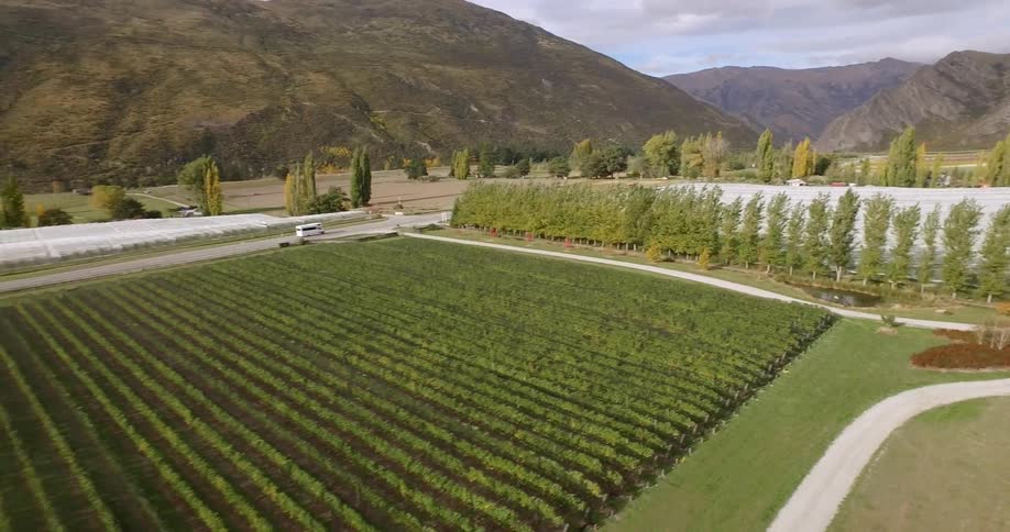 Rows of crops on a farm sit at the base of rocky hills