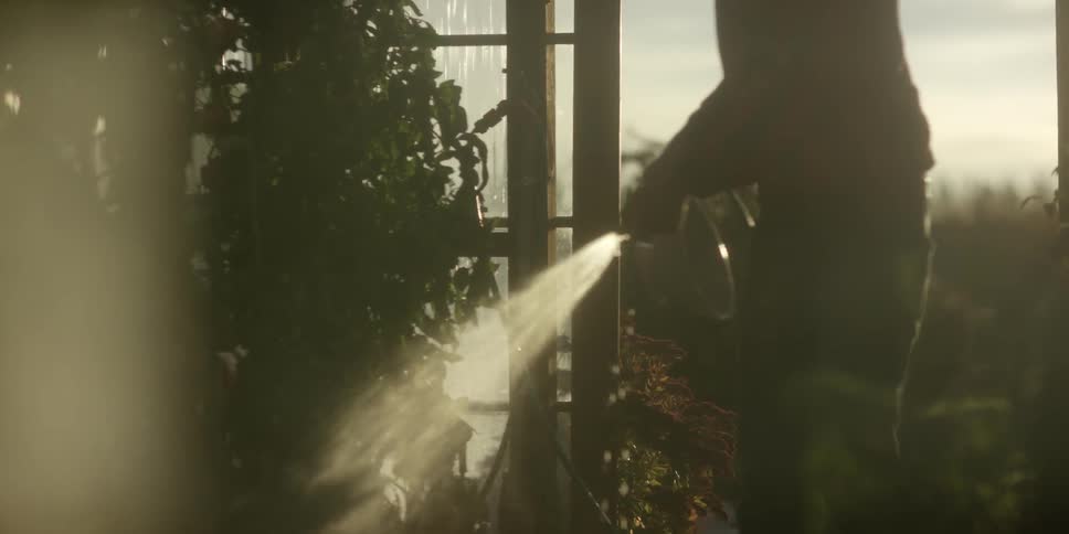 A man waters plants with a hose