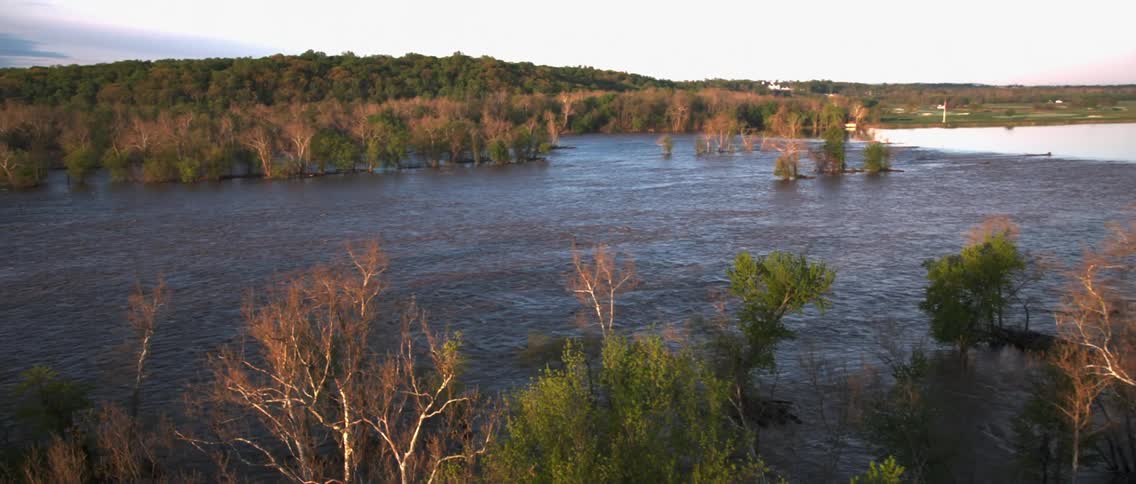 Trees line a river in the wilderness
