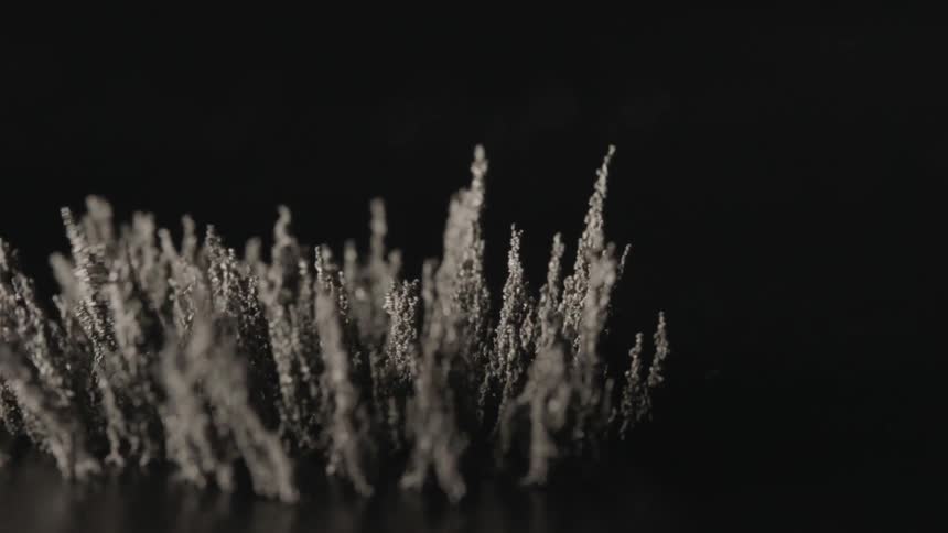 Fibers raised and moved around by magnetic force