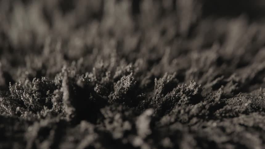 Magnetic dust that looks like evergreen trees melting