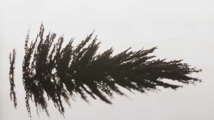 Magnet dust that looks like an evergreen tree with a white background
