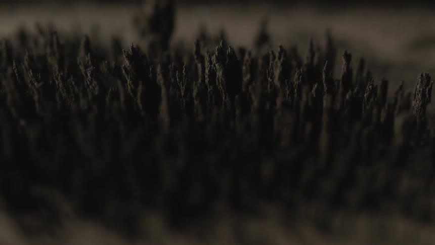 Material rises in a row together
