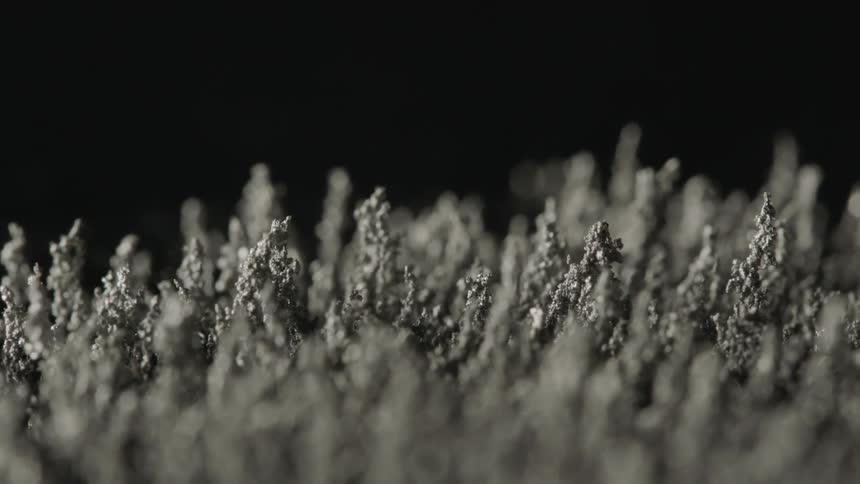Ferric dust reacting to a magnetic field