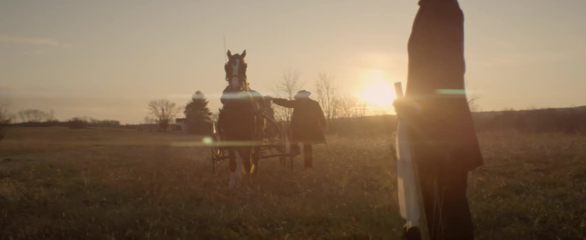 Men travel through a field with a horse and buggy