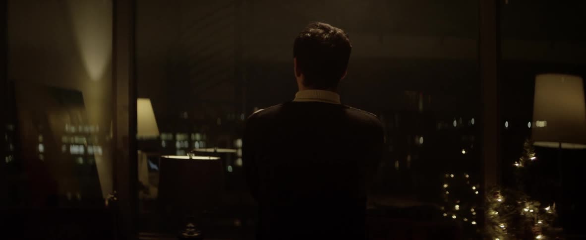 A man stares out a large window to a city below