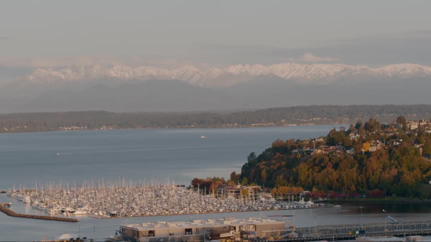 Aerial view of marina in lake at daylight
