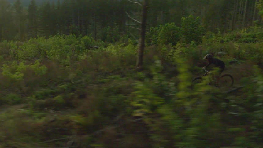 Mountain biker jumps over on the forest track in the forest during daylight