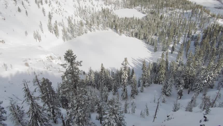 Evergreen trees rise through the snow of on hills that overlook the ocean