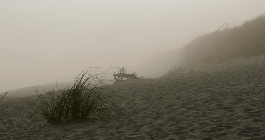 Dust blowing sand on a desert