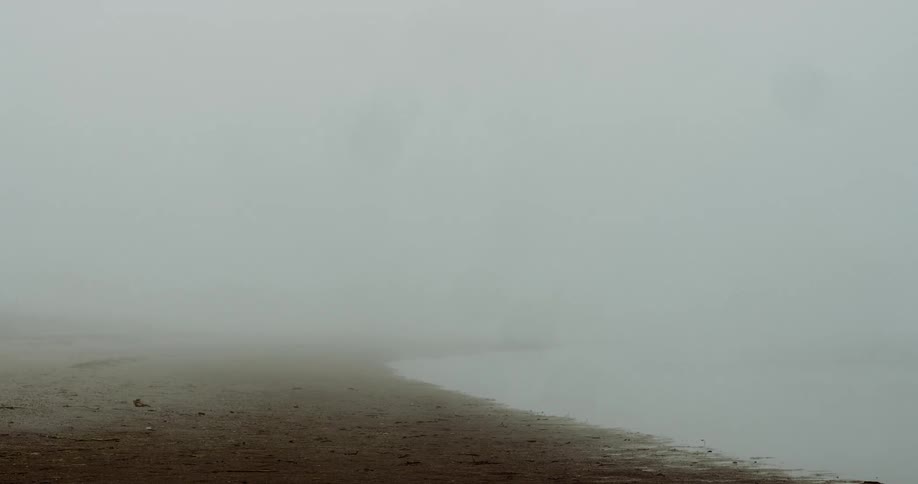 A fog covered beach