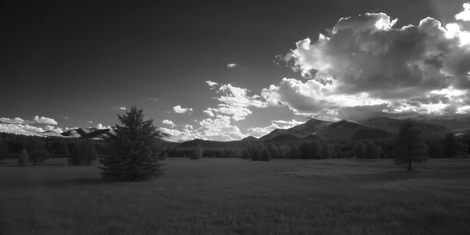 Nature In Infrared