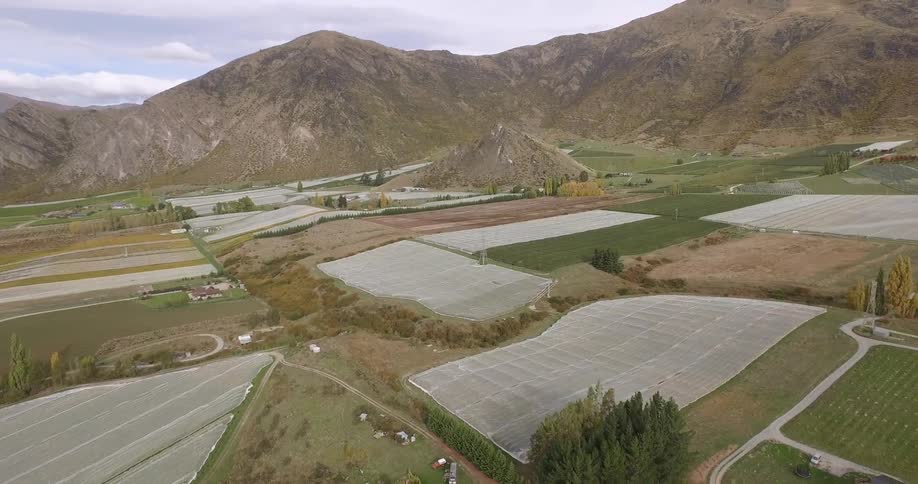 New Zealand Winery