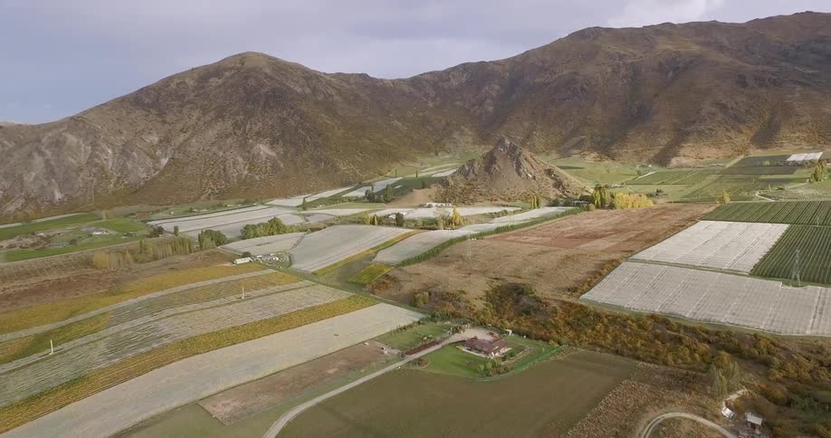 New Zealand Winery