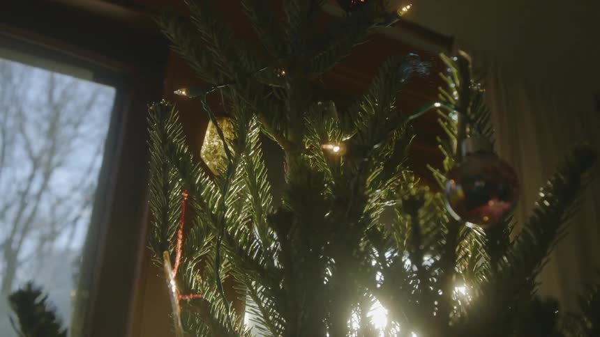 A view of a christmas tree at dawn