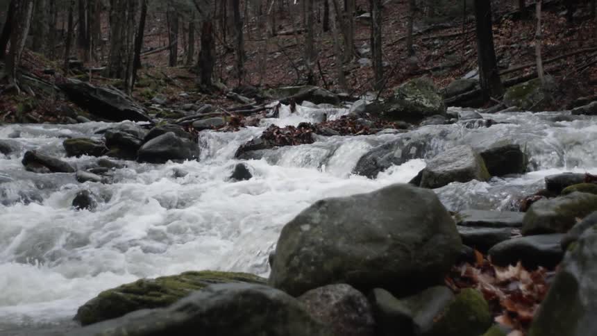 Water rushing over rocks in a creek