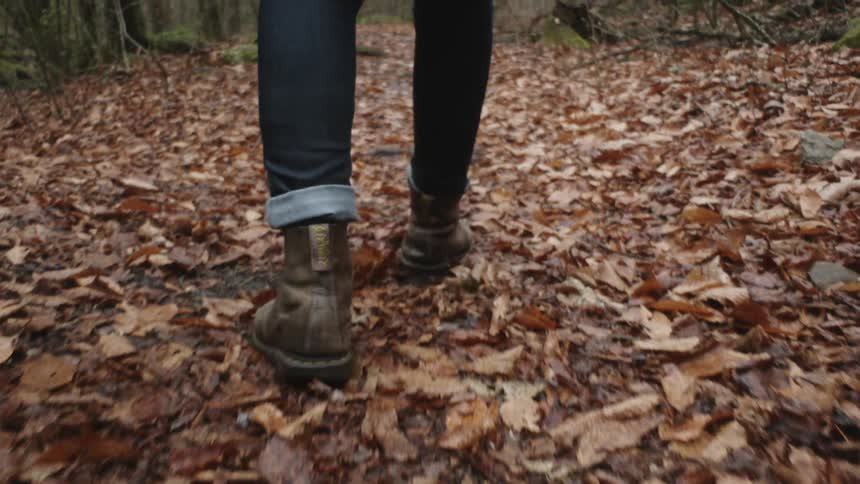 A person is walking outdoors in a forest area