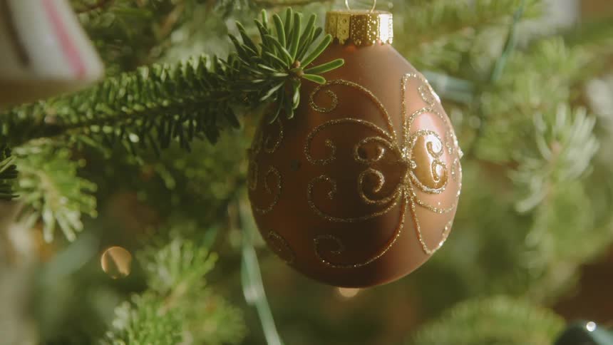 Christmas ornaments hanging on a tree