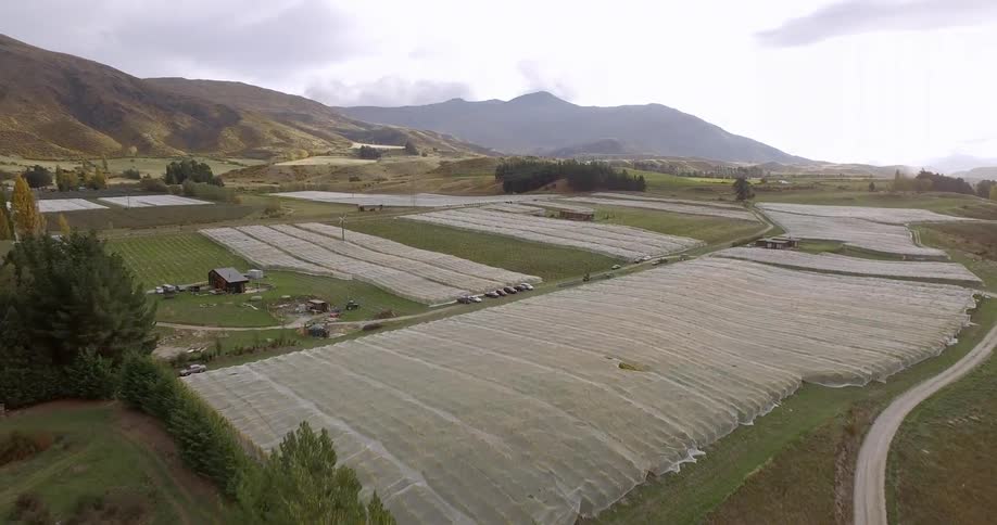 New Zealand Winery