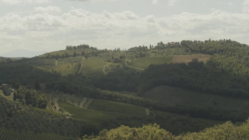 Orchards and fields among forested hills