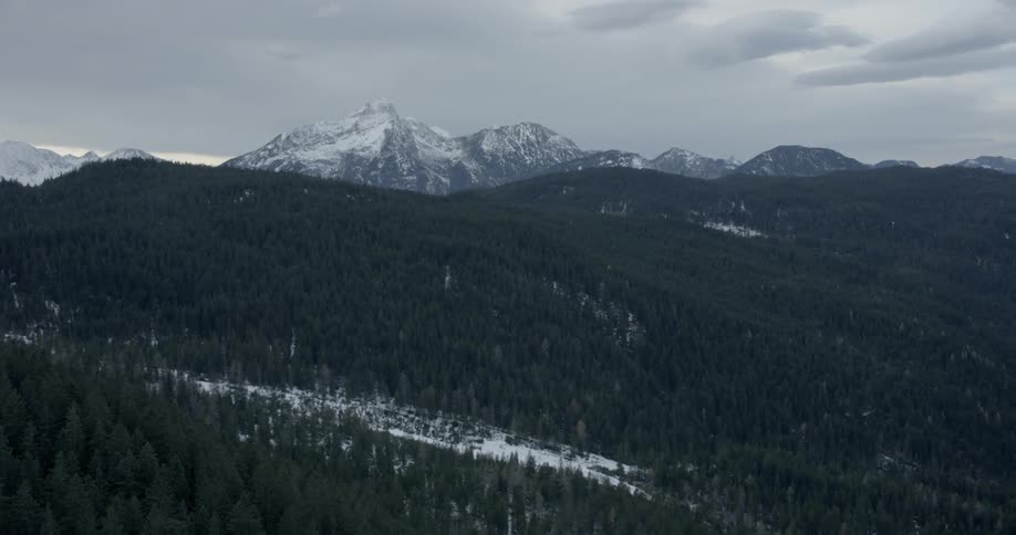 Forests before a mountain