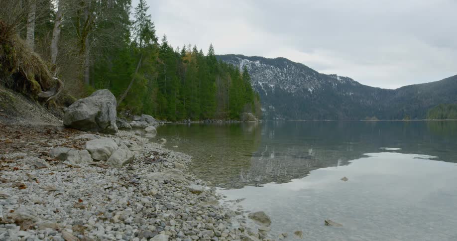 A calming lake in the wild