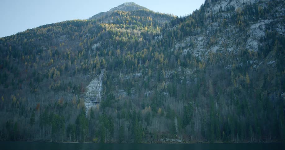 Trees are covering the mountains